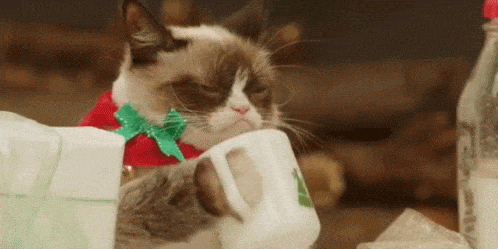 GIF of Grumpy cat taking a sip of coffee from a mug