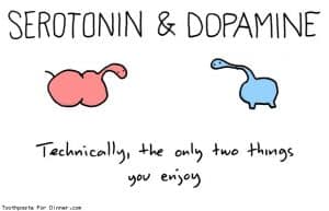 Cartoon - Serotonin and Dopamine. Technically, the only two things you enjoy. From toothpastefordinner.com