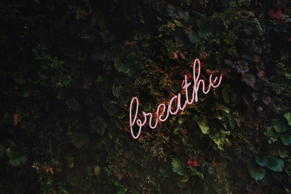 Photo of a neon sign of the word "breathe" amongst foliage