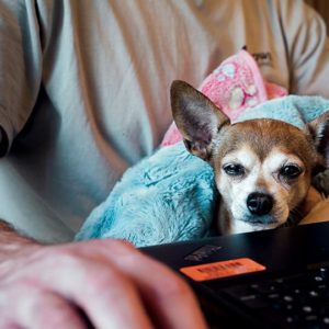 Remote Worker Wellbeing Essentials