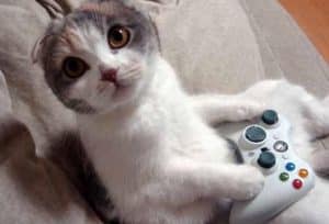 Photograph of a confused looking cat holding a video game joypad