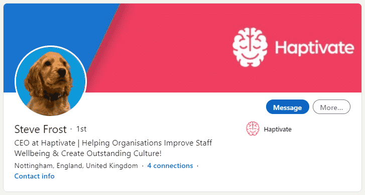 Steve Frost's LinkedIn Profile as CEO of Haptivate