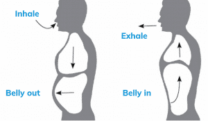 Visual guide to abdominal breathing. Push the belly out during inhalation. Pull the belly in during exhalation.