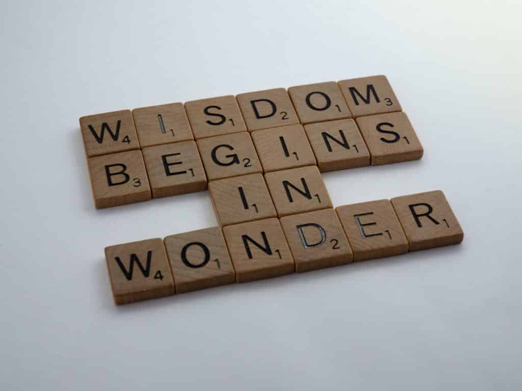 Wisdom begins in wonder graphic