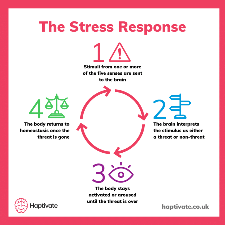4 Stages of theStress Response