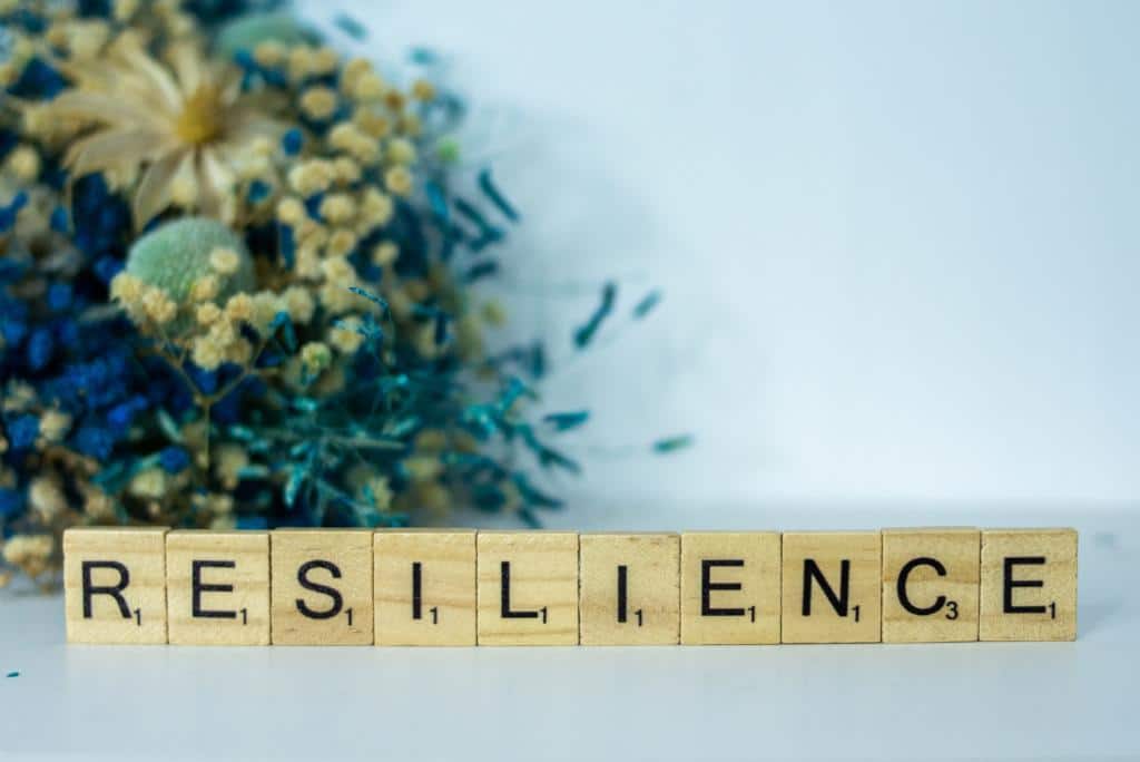 resilience factors